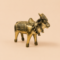 GOLDEN NANDI STANDING