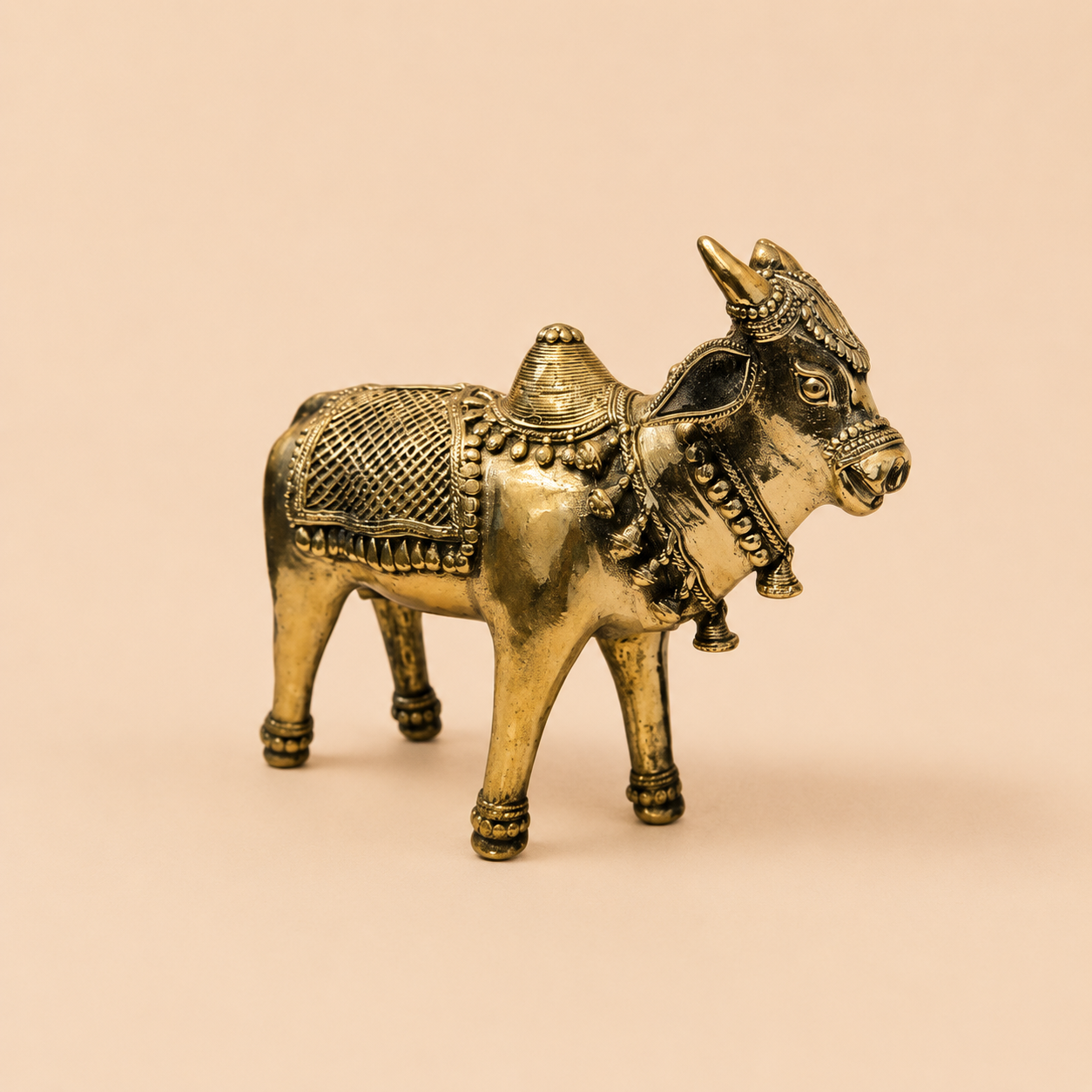 GOLDEN NANDI STANDING
