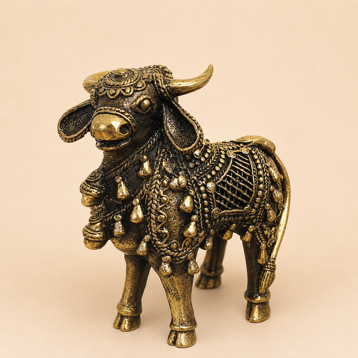 NANDI BULL