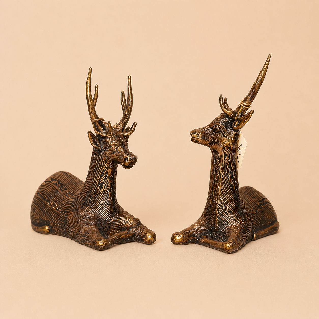 SITTING DEER