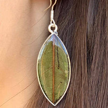 Load image into Gallery viewer, Earrings, Natural Leaf in Resin
