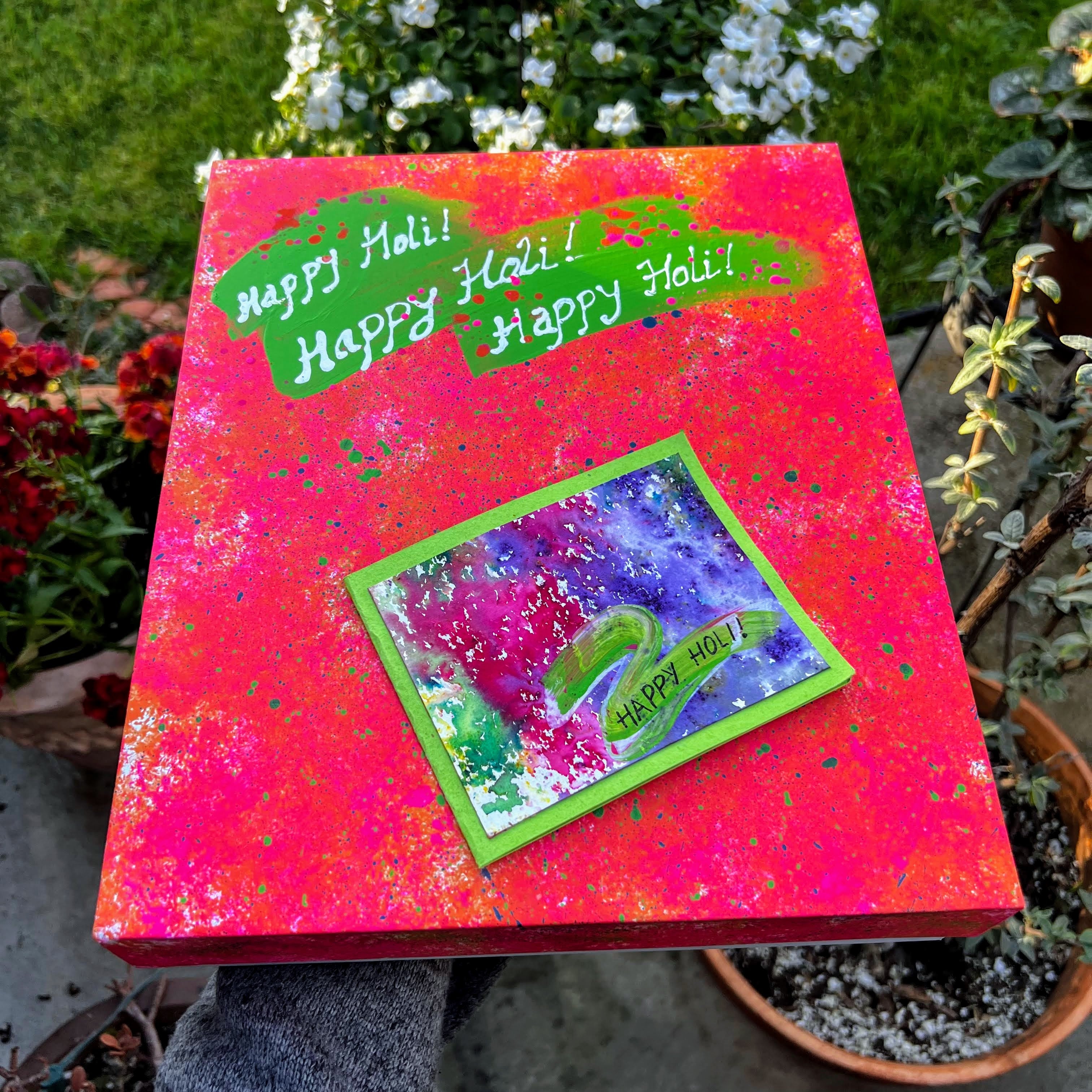 The Riot of Hues - Holi Gift Box