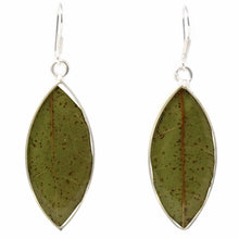 Load image into Gallery viewer, Earrings, Natural Leaf in Resin
