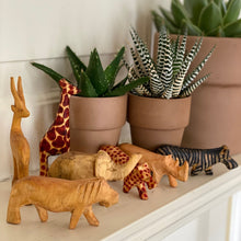 Load image into Gallery viewer, Handcarved Miniature Wood Safari Animals, Set of 7
